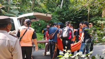 WN Italia Tewas Terjatuh dari Tebing Saat Berfoto di Air Terjun Tabanan Bali