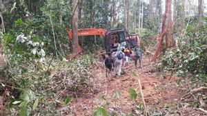 Gakkum KLHK remise le suspect de la forêt TN Bukit Tigapuluh