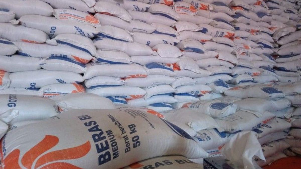Buwas: Bulog Rice Will Enter Modern Retail, In Alfamart To Indomaret