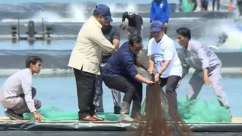 President of the Udang Raya Harvest in Kebumen