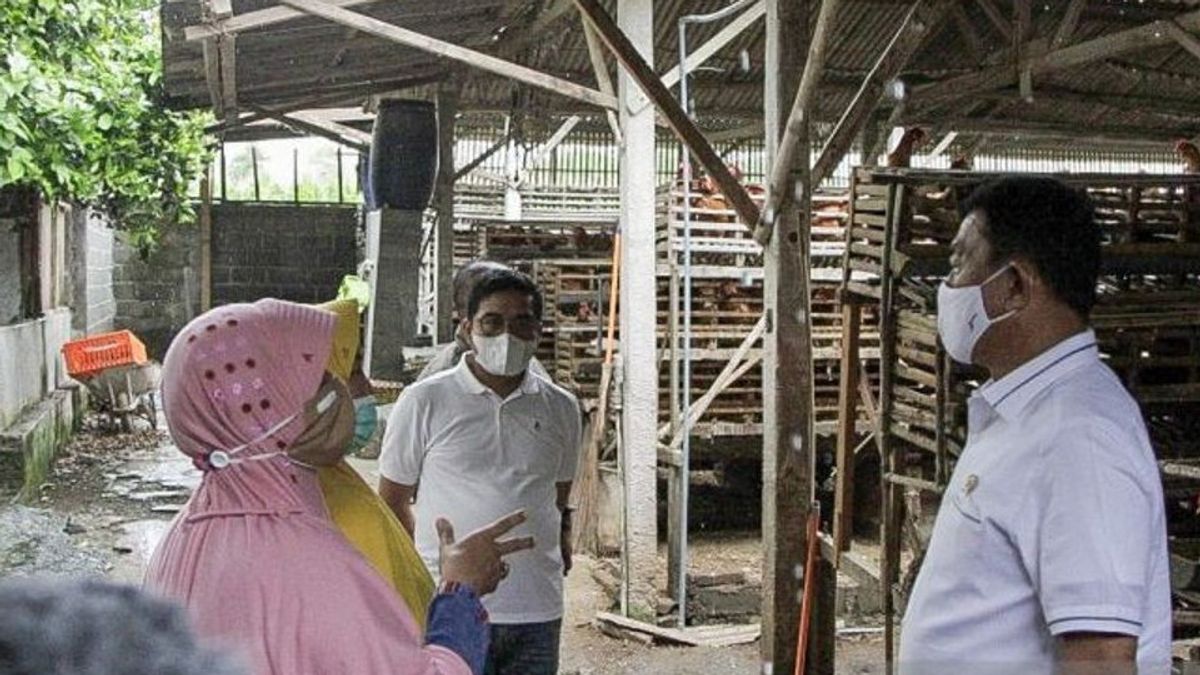 Peternak Ayam  Petelur di Blitar Keluhkan harga Telur, KSP Moeldoko: Saya Akan Diskusikan dengan Menteri Pertanian