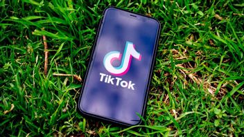 Le Sort De TikTok Aux États-Unis Est Influencé Par Donald Trump