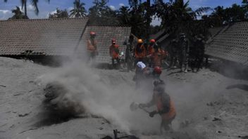Candipuro-Pronojiwo Lumajang区的大多数村庄仍然被火山灰掩埋。