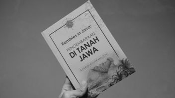 Critique De Livre Rambles à Java - La Note De Voyage Des Britanniques Autour De Java