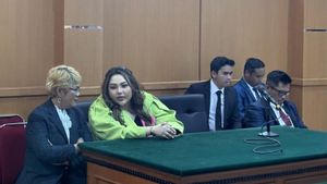 قضية سيليبرغام ليزا ماريانا مع رضوان كامل، طلب القاضي الوساطة قبل موضوع القضية