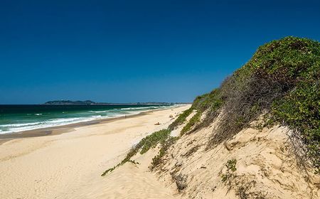 Pantai Khusus Telanjang Australia yang Populer Kemungkinan Ditutup, Ini Alasan Pemerintah Negara Bagian