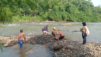 Aliran Sungai Ciliwung di Kedunghalang Bogor Berbusa Gara-gara Limbah Sabun