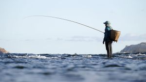 Ingin Dapat Banyak Tangkapan? Ini 3 Bacaan Doa Mancing Ikan yang Bisa Diamalkan 
