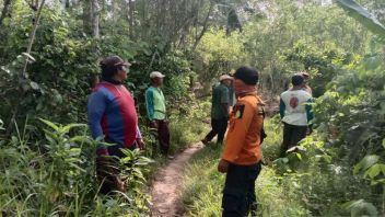 Basarnas Still Searching For Pepper Farmers Reported Missing In East Kolaka Forest
