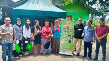Manfaatkan KUR BRI, Pengusaha Wanita Ini Berhasil Sulap Daun Kelor Jadi Aneka Olahan Pangan yang Digemari