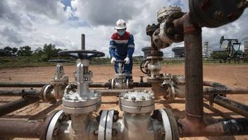 石油生产目标的追逐,Pertamina Hulu Rokan SIapkan在2024年资本支出11亿美元