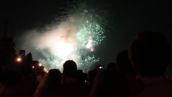 Sidney Government: The Safest Way To Enjoy New Year's Fireworks Is At Home