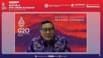ESDM: Indonesia Dorong Pemanfaatan Biofuel Demi Capai Transisi Energi