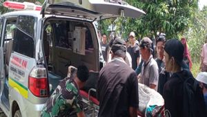 Tim Gabungan Evakuasi 6 Korban Tewas Akibat Tambang Emas Longsor di Kotabaru Kalsel