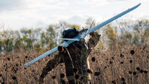オーストラリアは、ウクライナ軍と戦った国民を投獄したロシアを非難