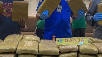 警方阻止了200公斤大麻从亚齐运往雅加达