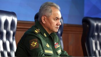 普吉美沙军关系,国防部长绍伊古:我们执行领导人协议