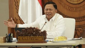 Wamen KP Sebut Kopdes Merah Putih Langkah untuk Bangun Ekonomi Pesisir