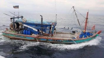 关于特许权，非政府组织：越南已成为印度尼西亚水域鱼类盗窃的“惯犯” 