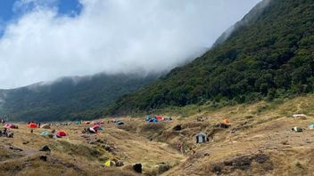 Pendaki Langgar Aturan di Gunung Gede-Pangrango Terancam Masuk Daftar Hitam