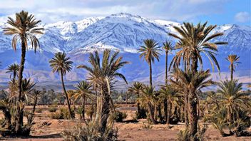 7 アフリカ大陸を通り抜ける山々の一連の驚くべき自然の美しさ