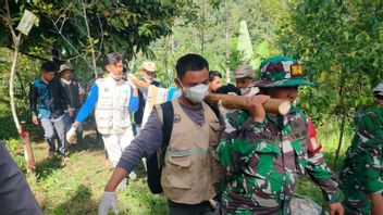 BKSDA West Sumatra Evacuates Tigers into a Trap Cage in Agam
