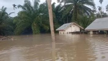 亚齐北部263公顷种植园被淹