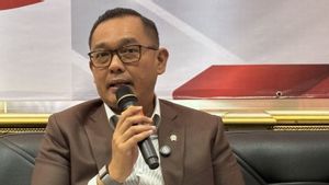 Wamen Investasi Sebut Premanisme Hambat Investasi Masuk RI