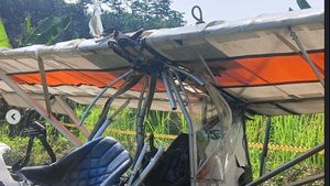 Kadispenau Benarkan Marsma TNI Fajar Adriyanto Gugur Dalam insiden Jatuhnya Pesawat Latih