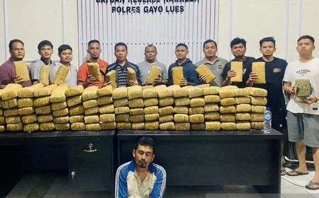 Polisi Tangkap Pembawa 190 Kg Ganja di Pegunungan Gayo Lues Aceh