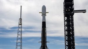 Tingkat Cedera di Fasilitas SpaceX Melebihi Rata-rata Industri pada 2023