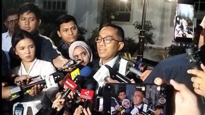 Presiden Dorong PLTS 100 Giga Dipercepat, Pembangkit Diesel Dibidik Dipangkas 10 Giga Tahun Ini