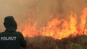 Berpotensi Picu Kebakaran Hutan dan Lahan, BMKG Deteksi 14 Titik Panas di Aceh