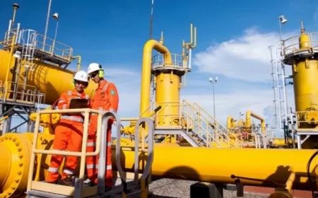 Sampai September, Penjualan Gas Bumi PGN ke Sektor Industri 481 BBTUD