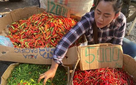 Makin 'Pedas' Saja Harga Cabai Rawit di Palembang, Melonjak Rp65.000 per Kilogram