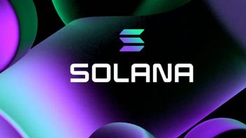 Solana Meme Coin Fever Makes Rust Developer's Request Rise Drastically