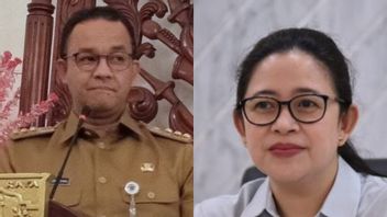 Il N’y A Rien De Nouveau à Prabowo, PDIP Party Politiciens: Puan-Anies Baswedan Duet Is More Of Something