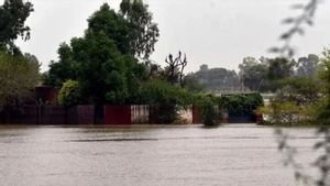 ケニアの大洪水、76人が死亡