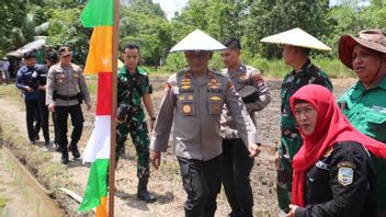 Wakapolda Kaltara Attends Activities To Accelerate Self-Sufficiency In Rice In Bulungan