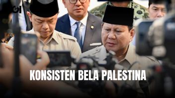 Indonesia Consistently Defends Palestine, President Prabowo: Since I Was Young