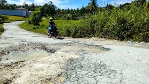Bupati Sebut Jalan Rusak di Sorong Selatan Akibat Aktivitas Truk Pengangkut Kayu