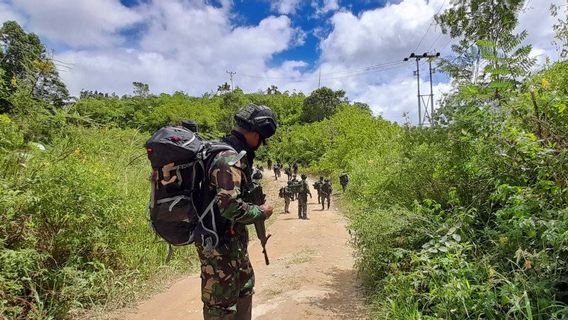 Hutan Lebat Tantangan Satgas Buru Kelompok MIT Pimpinan Ali Kalora