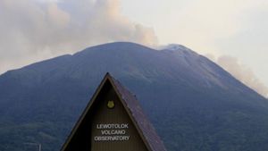 Gunung Ile Lewotolok Meletus 7 Kali, Keluarkan Abu hingga 1 Km 