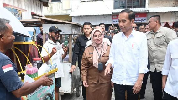 Presiden Jokowi Siapkan Kotawaringin Timur Jadi Penyangga Pangan IKN