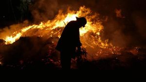 Air Keras Munculkan Api, Kebakaran Gudang Ekspedisi di Tanjung Priok Merugi Rp1 Miliar