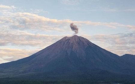 Senin Pagi, Gunung Semeru Kembali Erupsi Disertai Letusan Abu Vulkanik