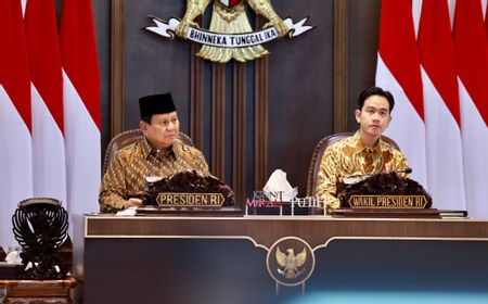 Program 100 Hari Kerja Prabowo: Fokus 17 Program Prioritas