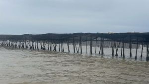 Usut Dugaan Rasuah Pagar Laut Tangerang, Kortas Tipikor Periksa 34 Saksi