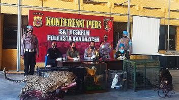 Banda Aceh Police Secures Collections Of Protected Animals Belonging To Drug Suspects