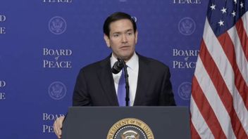 AS soal BoP: Krisis Gaza Tak Bisa Diselesaikan Lembaga Global yang Ada